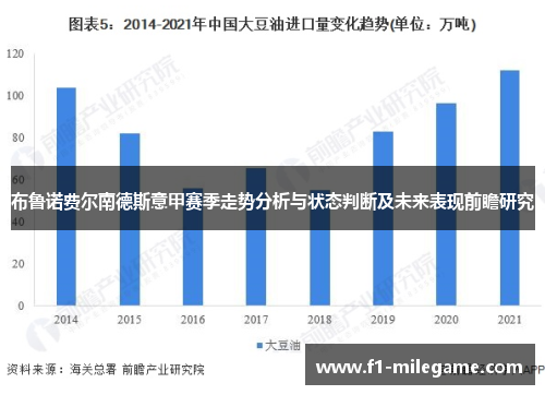 布鲁诺费尔南德斯意甲赛季走势分析与状态判断及未来表现前瞻研究